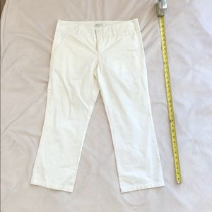 Gorgeous Vince White Panta